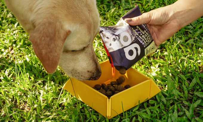 (PreOrder) FoldiBox 2 | Versatile, Sustainable, Stylish | Anywhere with ∞ Possibilities